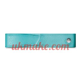 Caran D'Ache LÉMAN TURQUOISE PEN HOLDER